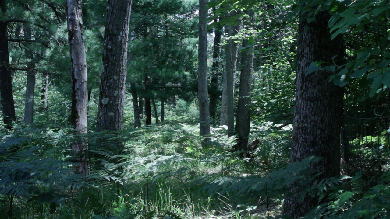 27th image of 2314 W 15 Mile Rd, Bitely, MI 49309 | MLS# 70550923