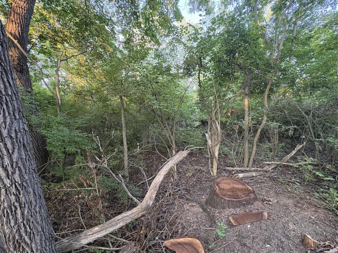 Photo 3 of Land for sale at 1503 Echo Valley Dr, Niles, MI 49120 | MLS# 70550934 | Listing updated on 2026-09-26