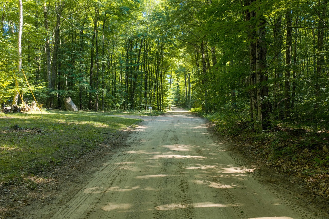 2nd image of Vl Lt 36 Pine River Hls, Luther, MI 49656 | MLS# 70551202