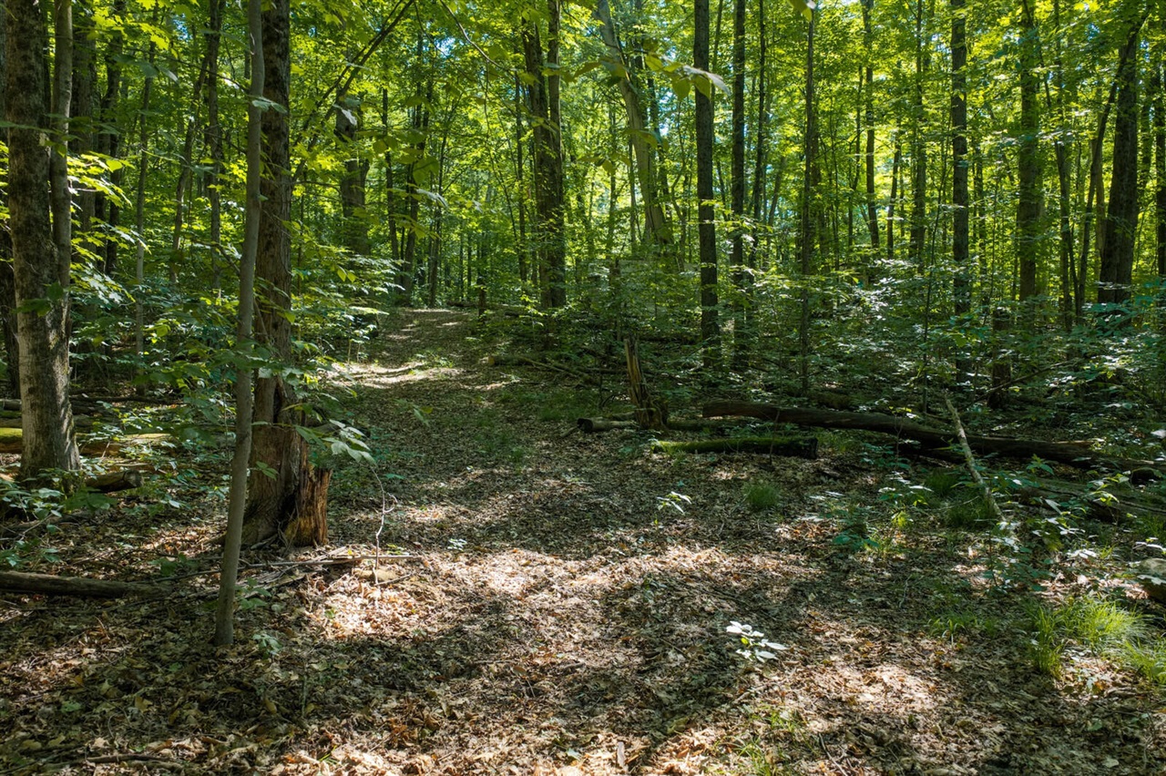 11th image of Vl Lt 36 Pine River Hls, Luther, MI 49656 | MLS# 70551202