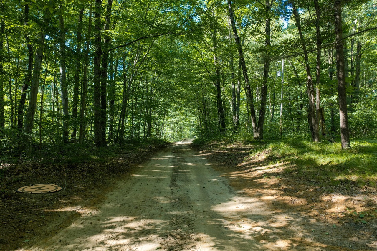 3rd image of Vl Lt 36 Pine River Hls, Luther, MI 49656 | MLS# 70551202