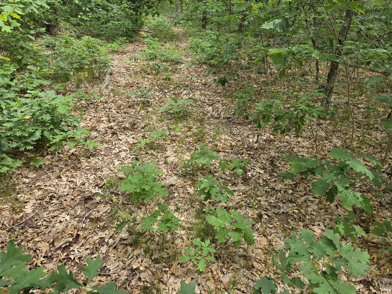 1st image of V/l 10 13 W Oliver Rd, Baldwin, MI 49304 | MLS# 70551218