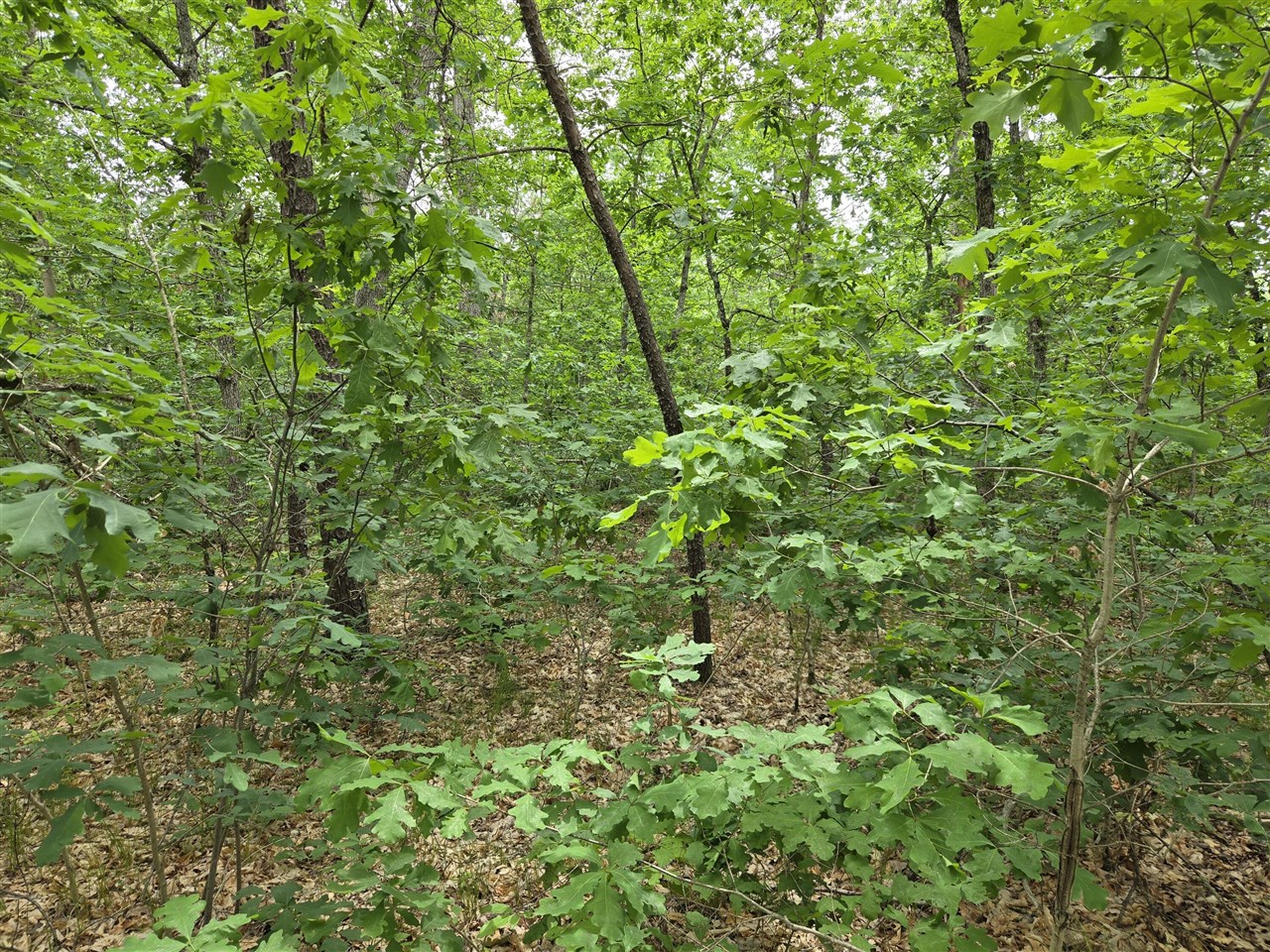2nd image of V/l 10 13 W Oliver Rd, Baldwin, MI 49304 | MLS# 70551218