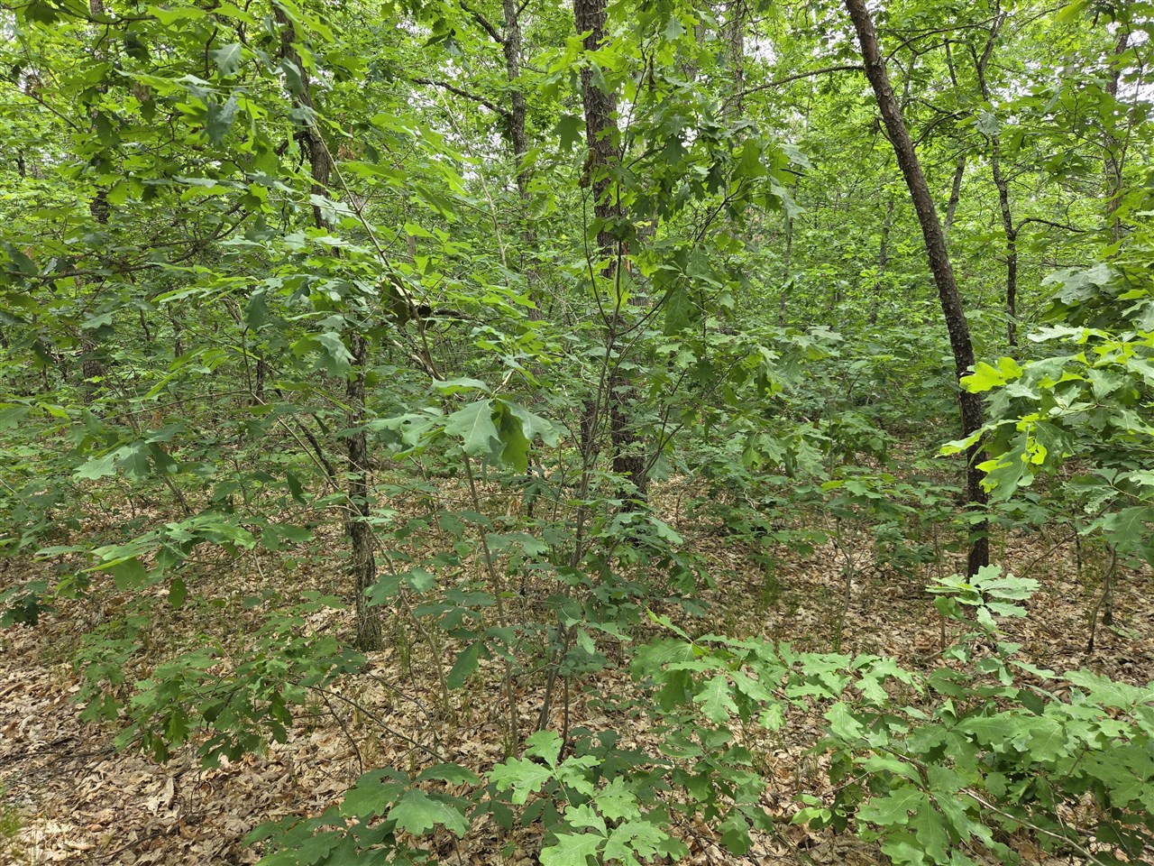 3rd image of V/L 10-13 W Oliver Rd, Baldwin, MI 49304 | MLS# 70551218