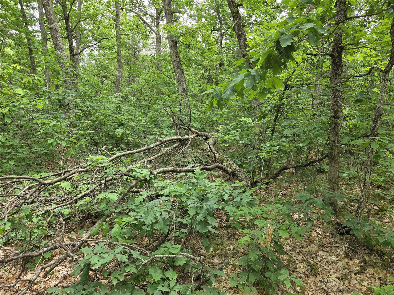 5th image of V/L 10-13 W Oliver Rd, Baldwin, MI 49304 | MLS# 70551218