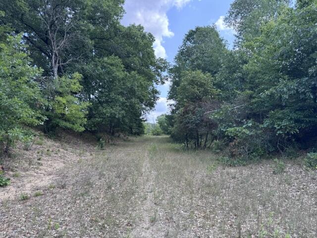 2nd image of 15 Acres V/l 170th Ave, Hersey, MI 49639 | MLS# 70551315