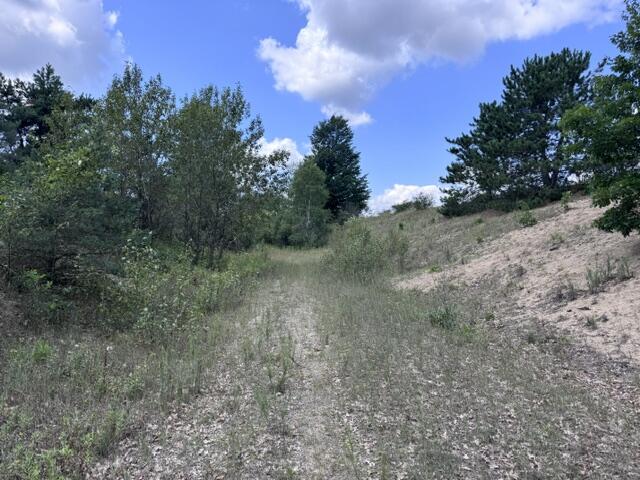 3rd image of 15 Acres V/L 170Th Ave, Hersey, MI 49639 | MLS# 70551315