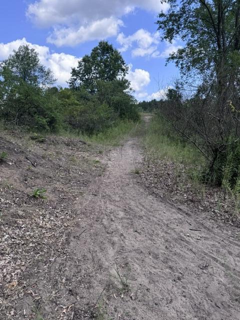 4th image of 15 Acres V/L 170Th Ave, Hersey, MI 49639 | MLS# 70551315