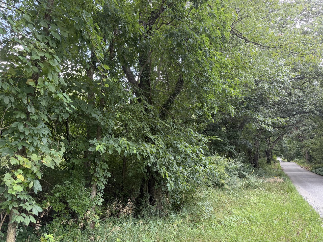1st image of Nubour St, Dowagiac, MI 49047 | MLS# 70551425