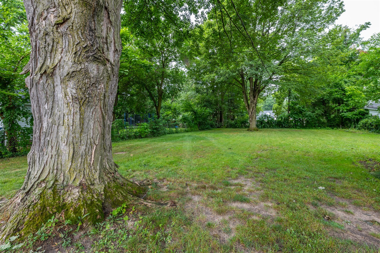 32nd image of 311 N Front St, Dowagiac, MI 49047 | MLS# 70551505