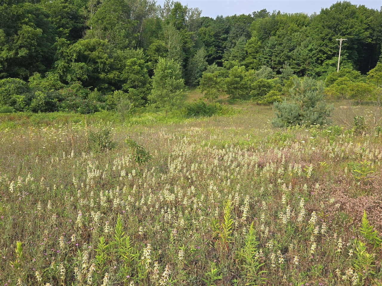 Photo 3 of Land for sale at N 72nd Avenue, Hart, MI 49420 | MLS# 70551507 | Listing updated on 2026-09-15