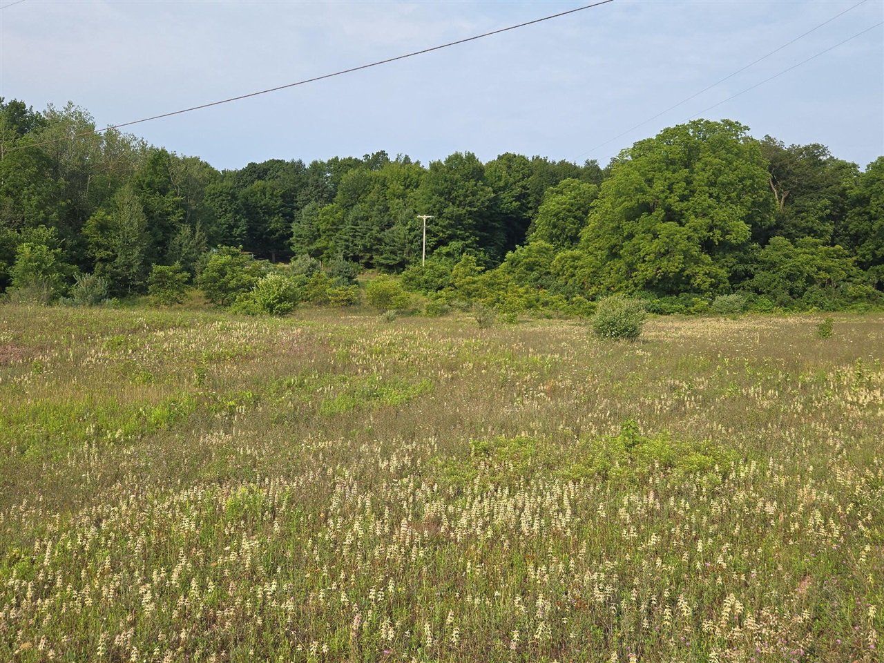 Photo 3 of Land for sale at N 72nd Avenue, Hart, MI 49420 | MLS# 70551507 | Listing updated on 2026-09-15