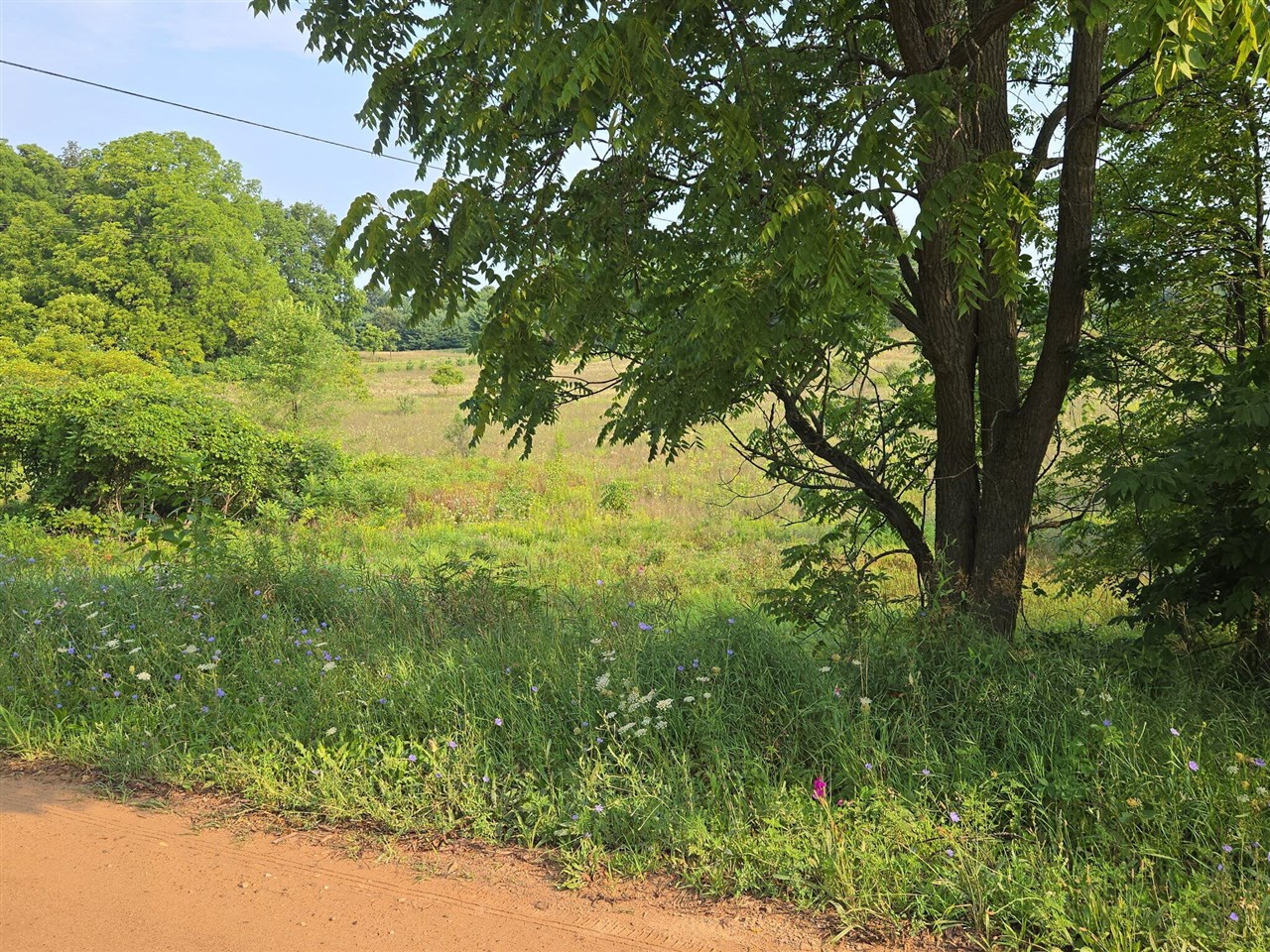 Photo 4 of Land for sale at N 72nd Avenue, Hart, MI 49420 | MLS# 70551507 | Listing updated on 2026-09-15