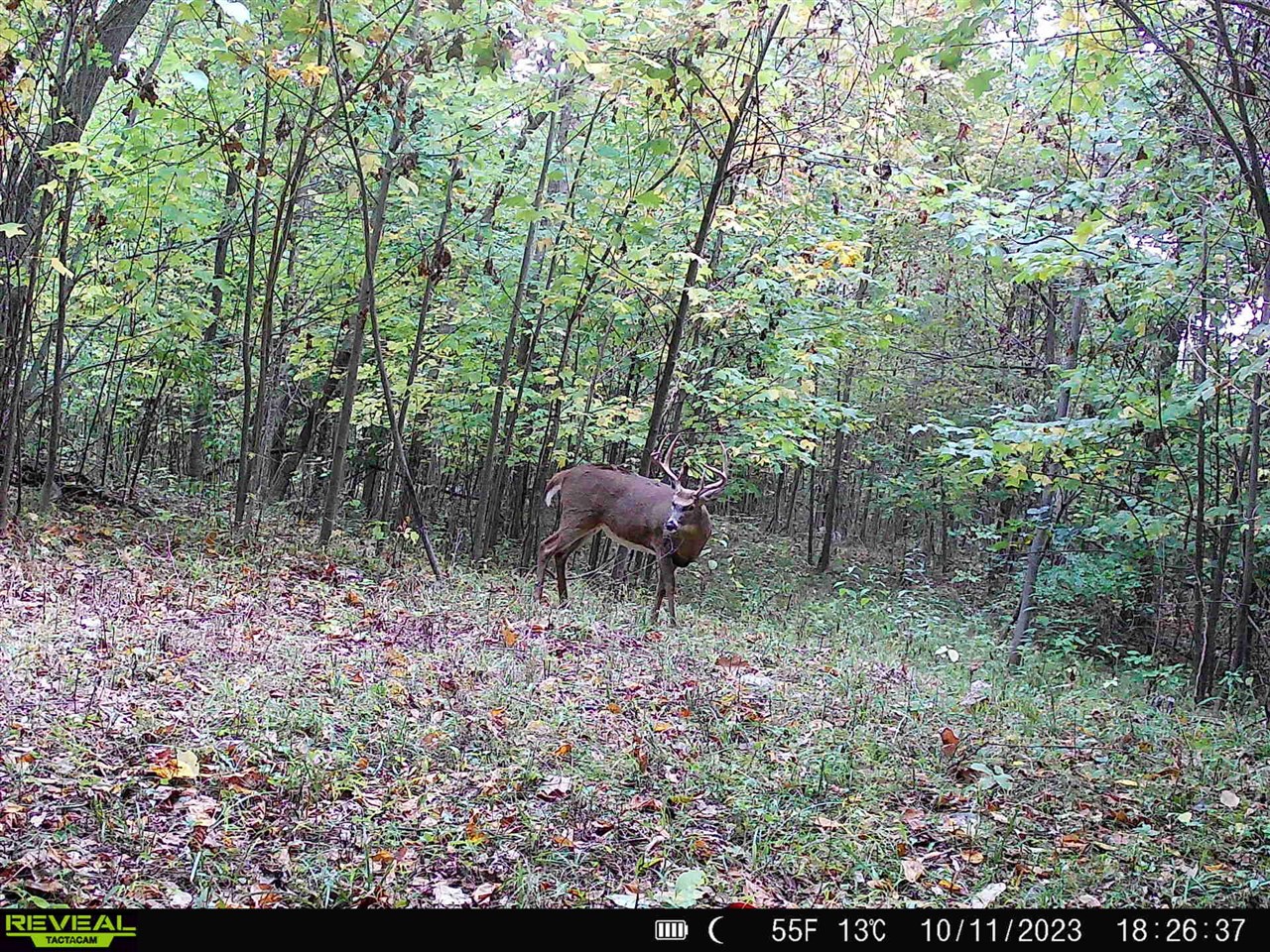 Photo 3 of Land for sale at Stuck Rd, Marcellus, MI 49067 | MLS# 70551613 | Listing updated on 2026-09-30