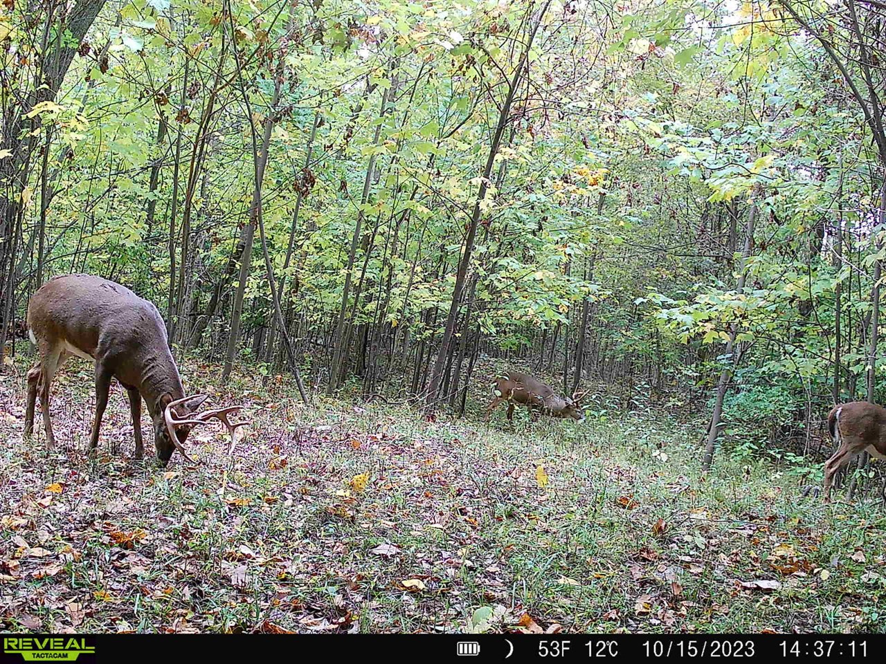 Photo 4 of Land for sale at Stuck Rd, Marcellus, MI 49067 | MLS# 70551613 | Listing updated on 2026-09-30