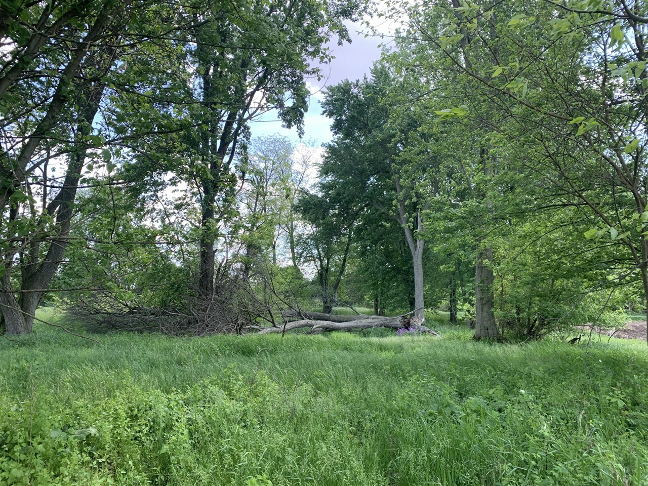 1st image of Brink Rd, Bronson, MI 49028 | MLS# 70551649