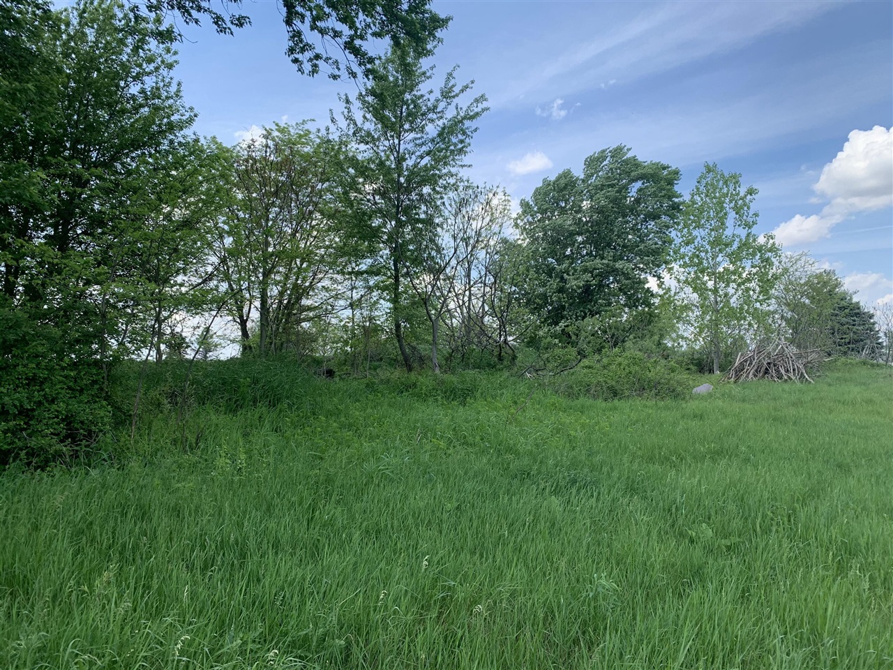 2nd image of Brink Rd, Bronson, MI 49028 | MLS# 70551649