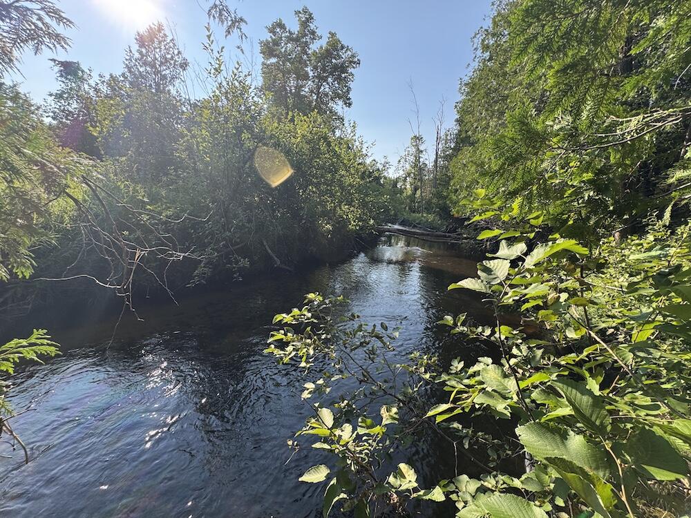 1st image of E Procunier Rd, Update, MI 48745 | MLS# 70551672