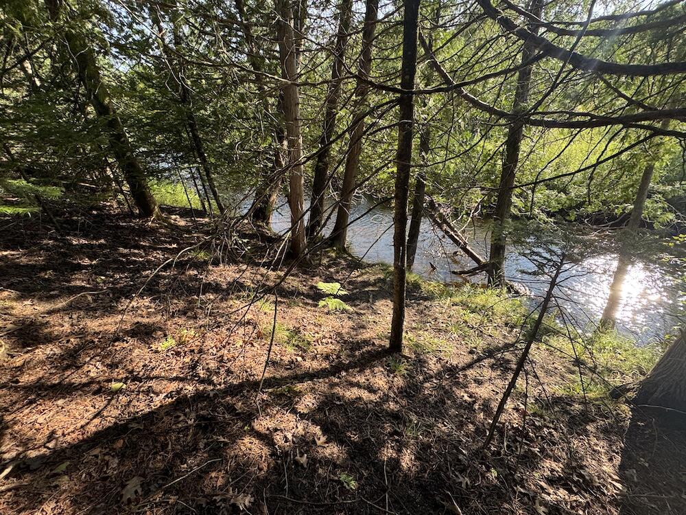 3rd image of E Procunier Rd, Update, MI 48745 | MLS# 70551672