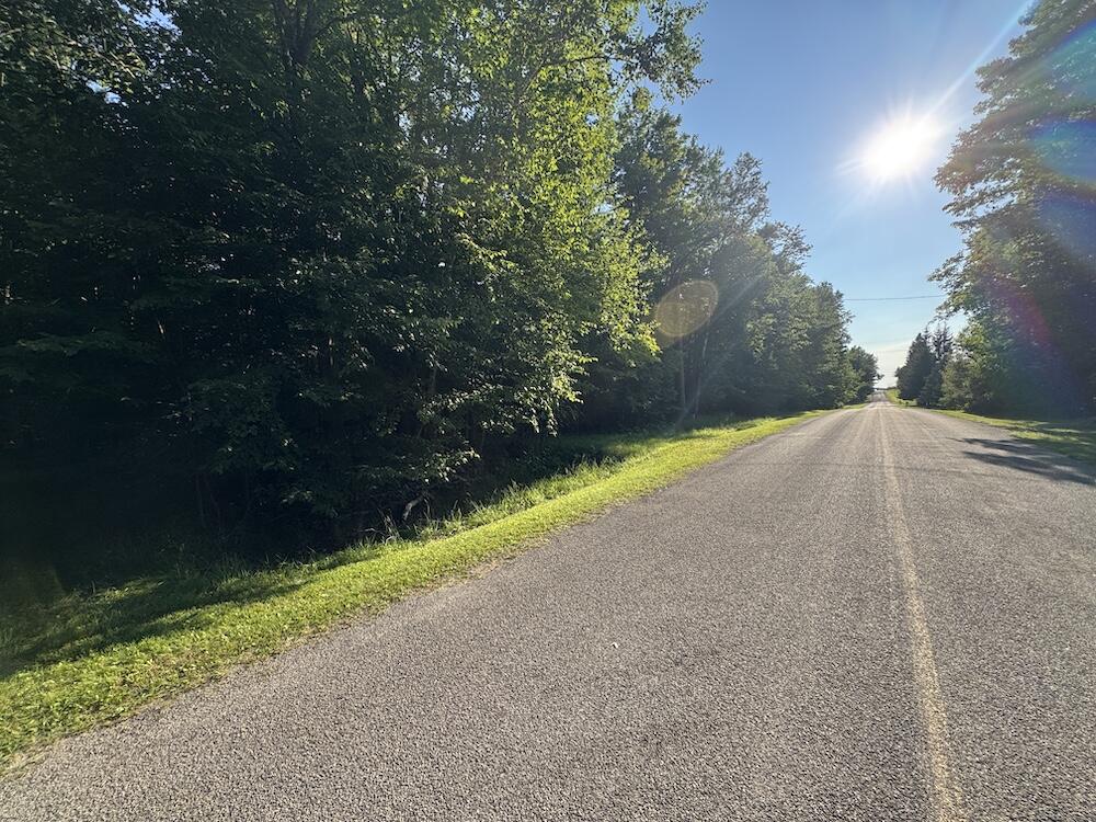 78th image of E Procunier Rd, Update, MI 48745 | MLS# 70551672