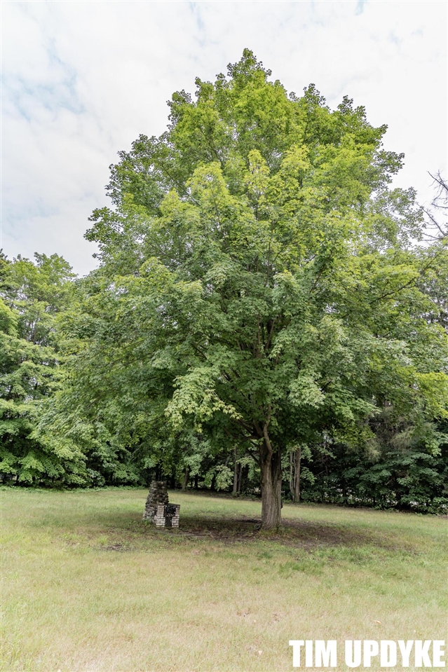 48th image of 5924 E Sternberg Rd, Fruitport, MI 49415 | MLS# 70551711