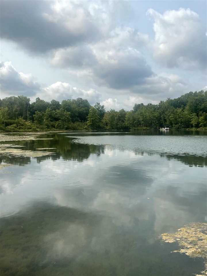 8th image of Lot #84 85 W Rimkus Dr, Irons, MI 49644 | MLS# 70551791