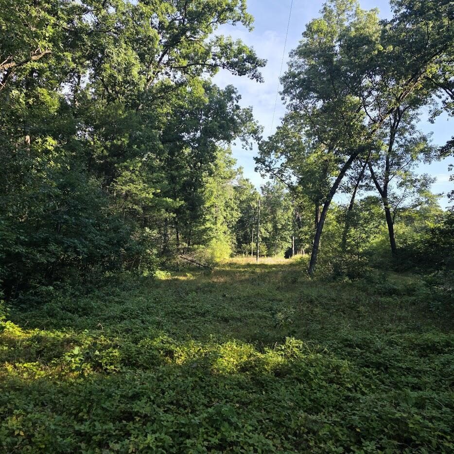 1st image of S Outaway Dr, Newaygo, MI 49337 | MLS# 70551830