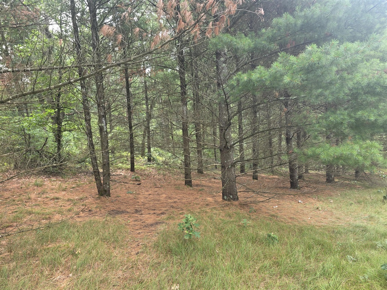 2nd image of S Outaway Dr, Newaygo, MI 49337 | MLS# 70551830