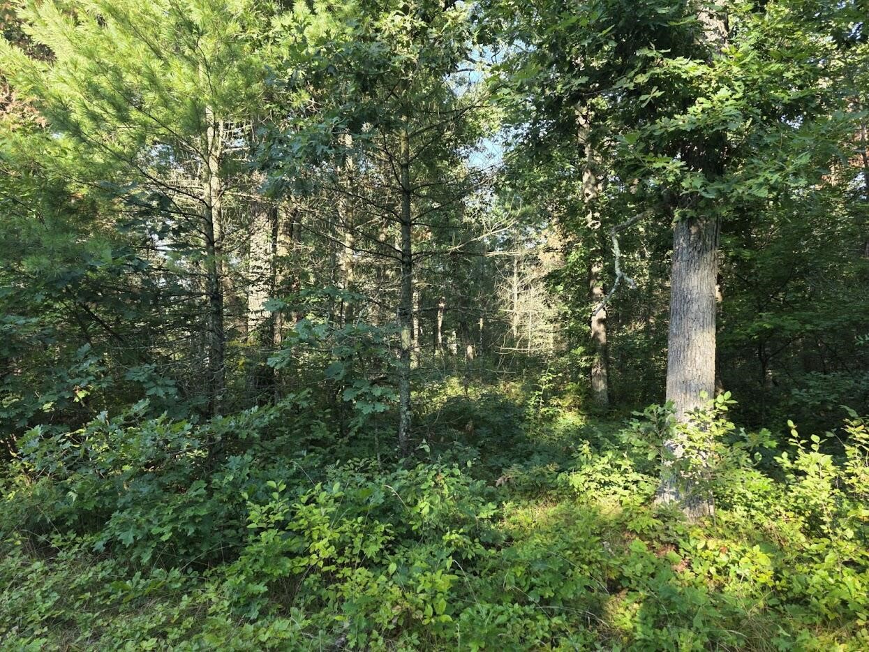 13th image of S Outaway Dr, Newaygo, MI 49337 | MLS# 70551830