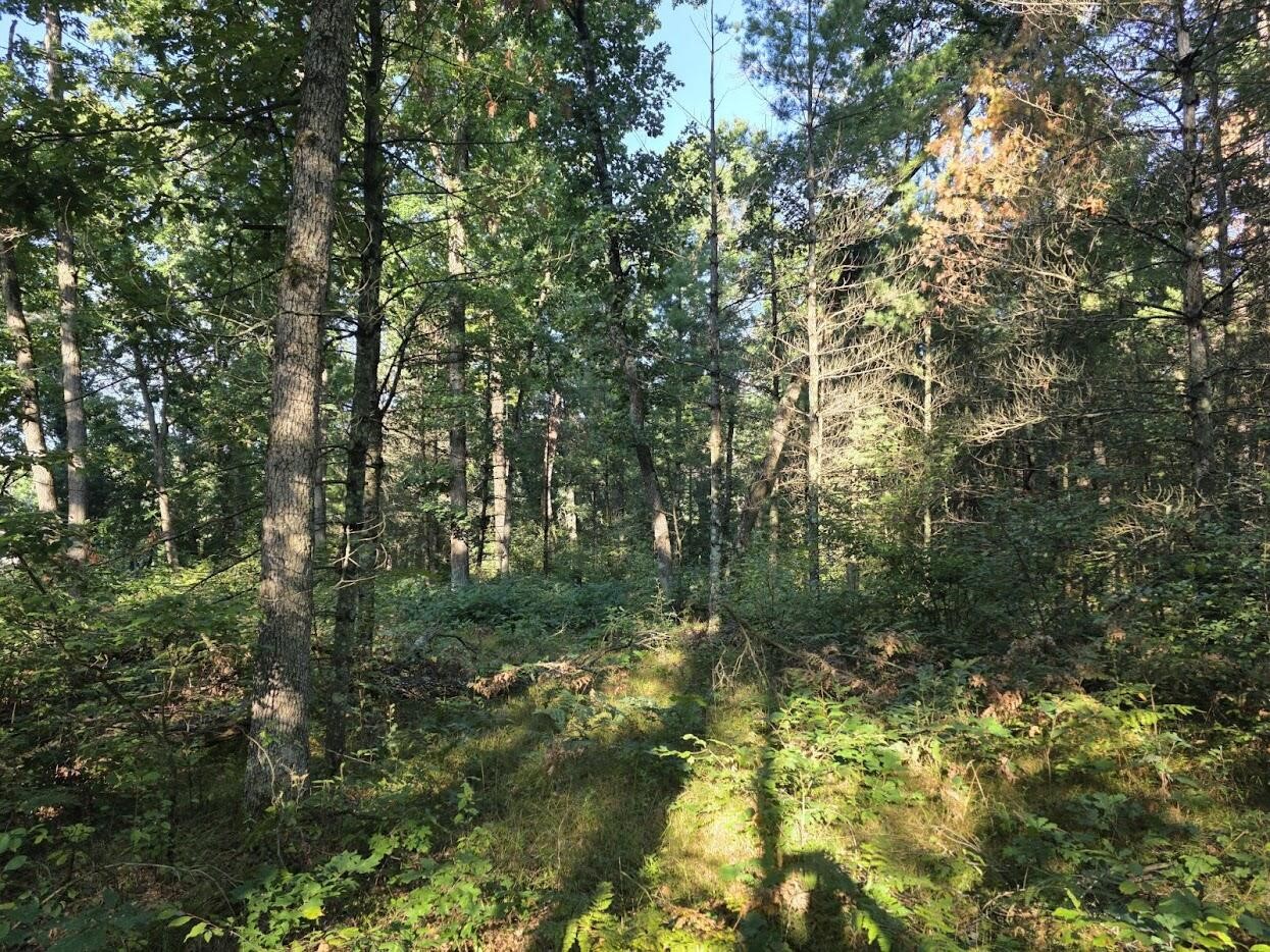 4th image of S Outaway Dr, Newaygo, MI 49337 | MLS# 70551830