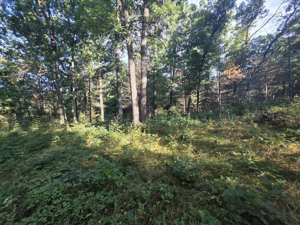 5th image of S Outaway Dr, Newaygo, MI 49337 | MLS# 70551830