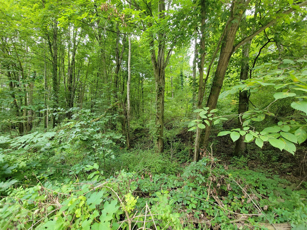 2nd image of 8925 Vestal Dr, Saranac, MI 48881 | MLS# 70551935
