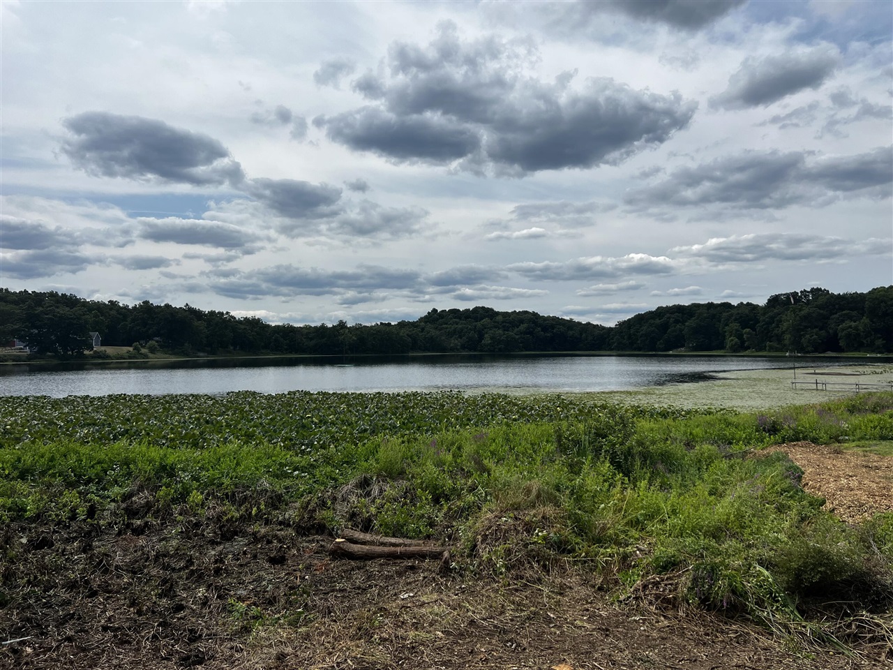14th image of Vl Day Rd, Bellevue, MI 49021 | MLS# 70551985