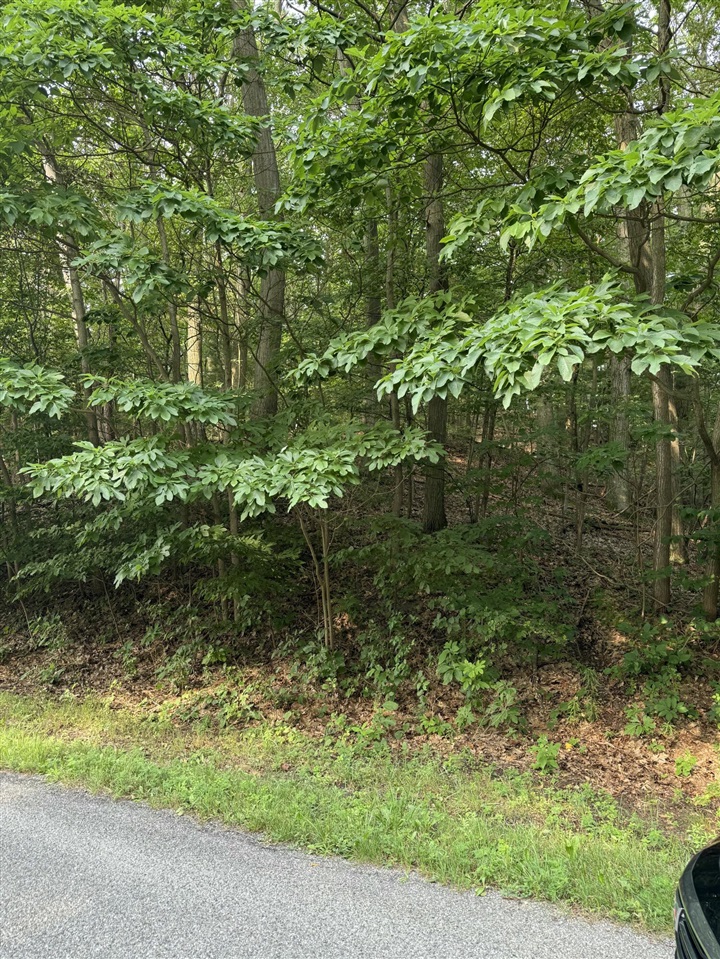 Photo 1 of Land for sale at Wildwood Dr, West Olive, MI 49460 | MLS# 70551999 | Listing updated on 2026-10-20