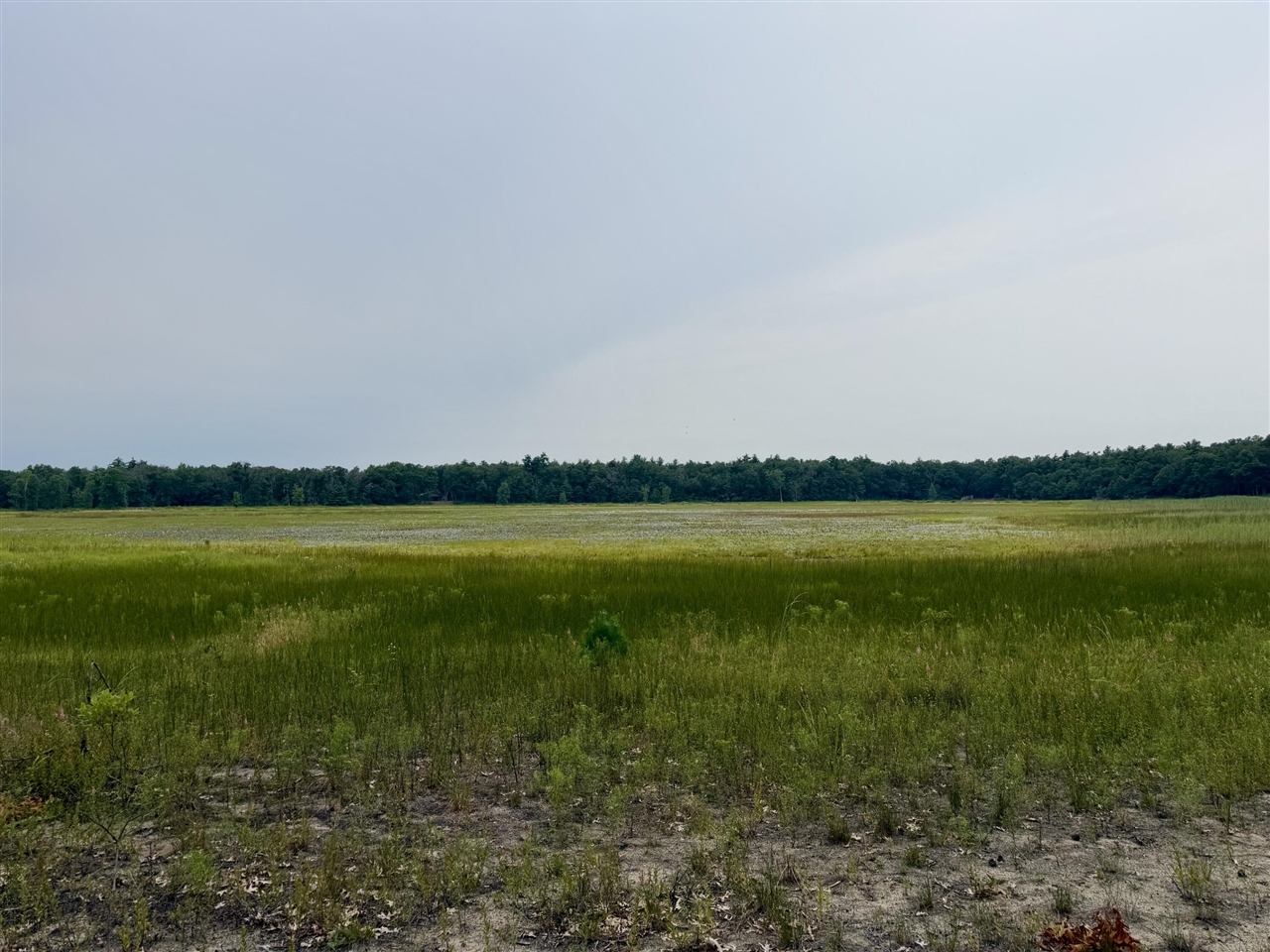 4th image of V/L Round Lake Dr, Holton, MI 49425 | MLS# 70552090