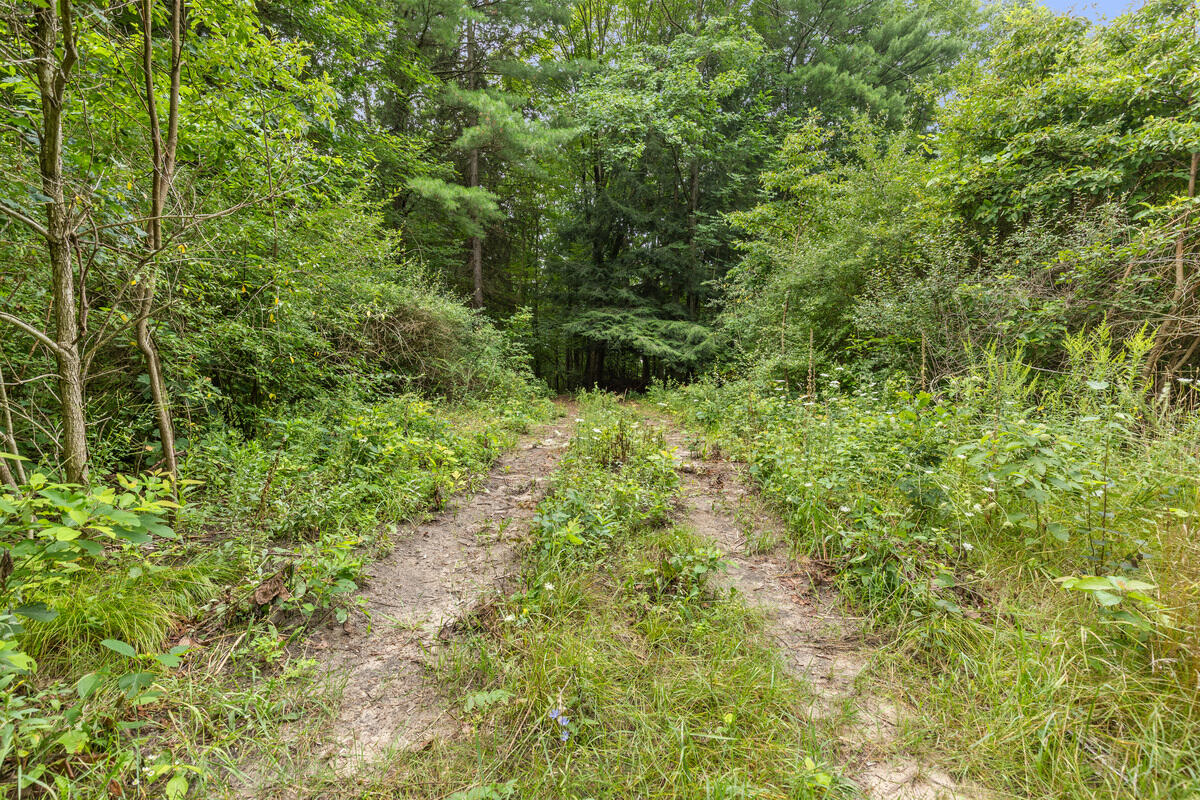 1st image of V/l W Stanton, Stanton, MI 48888 | MLS# 70552147