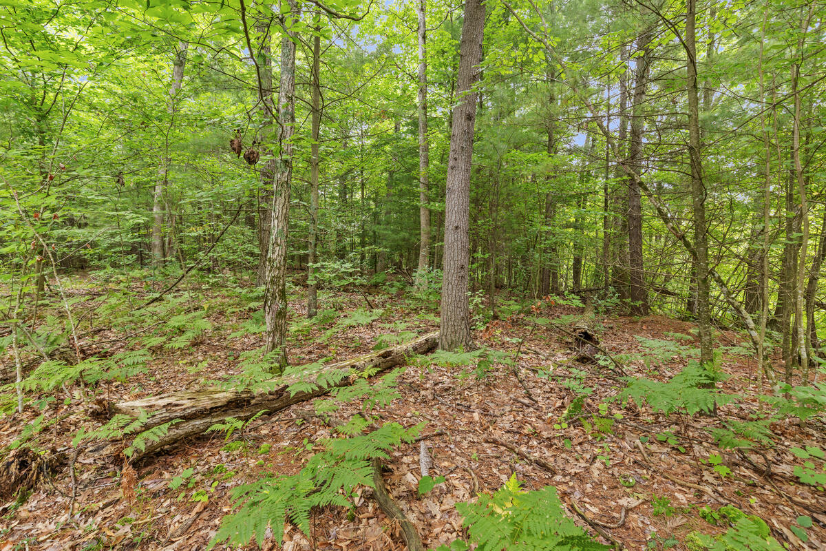 26th image of V/l W Stanton, Stanton, MI 48888 | MLS# 70552147