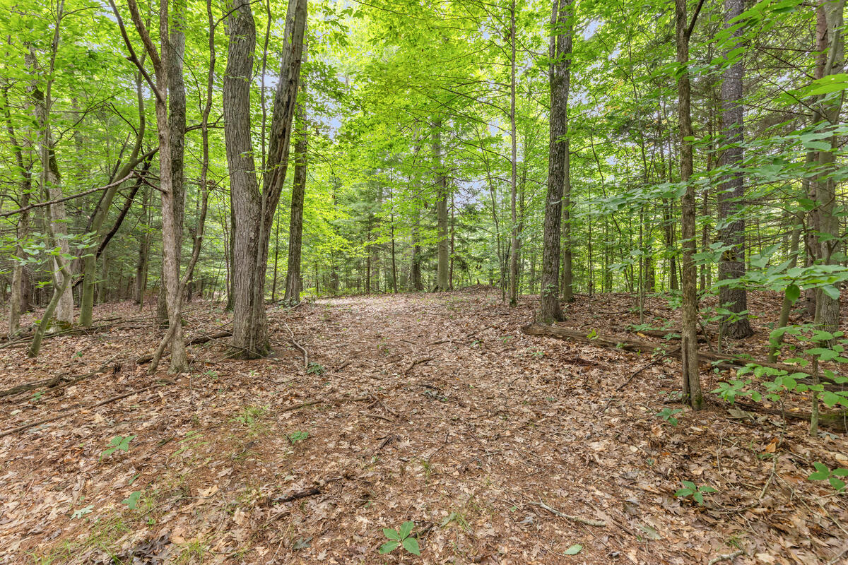 4th image of V/L W Stanton, Stanton, MI 48888 | MLS# 70552147