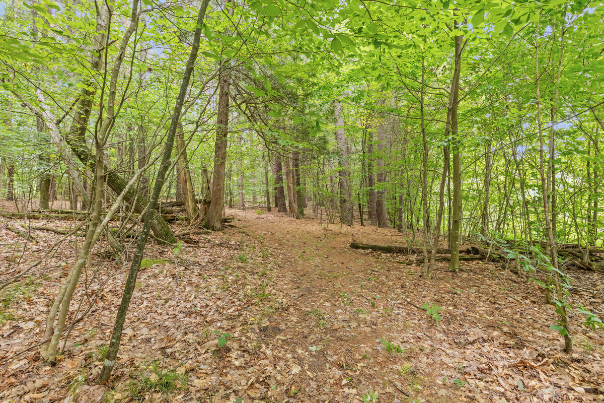 5th image of V/L W Stanton, Stanton, MI 48888 | MLS# 70552147