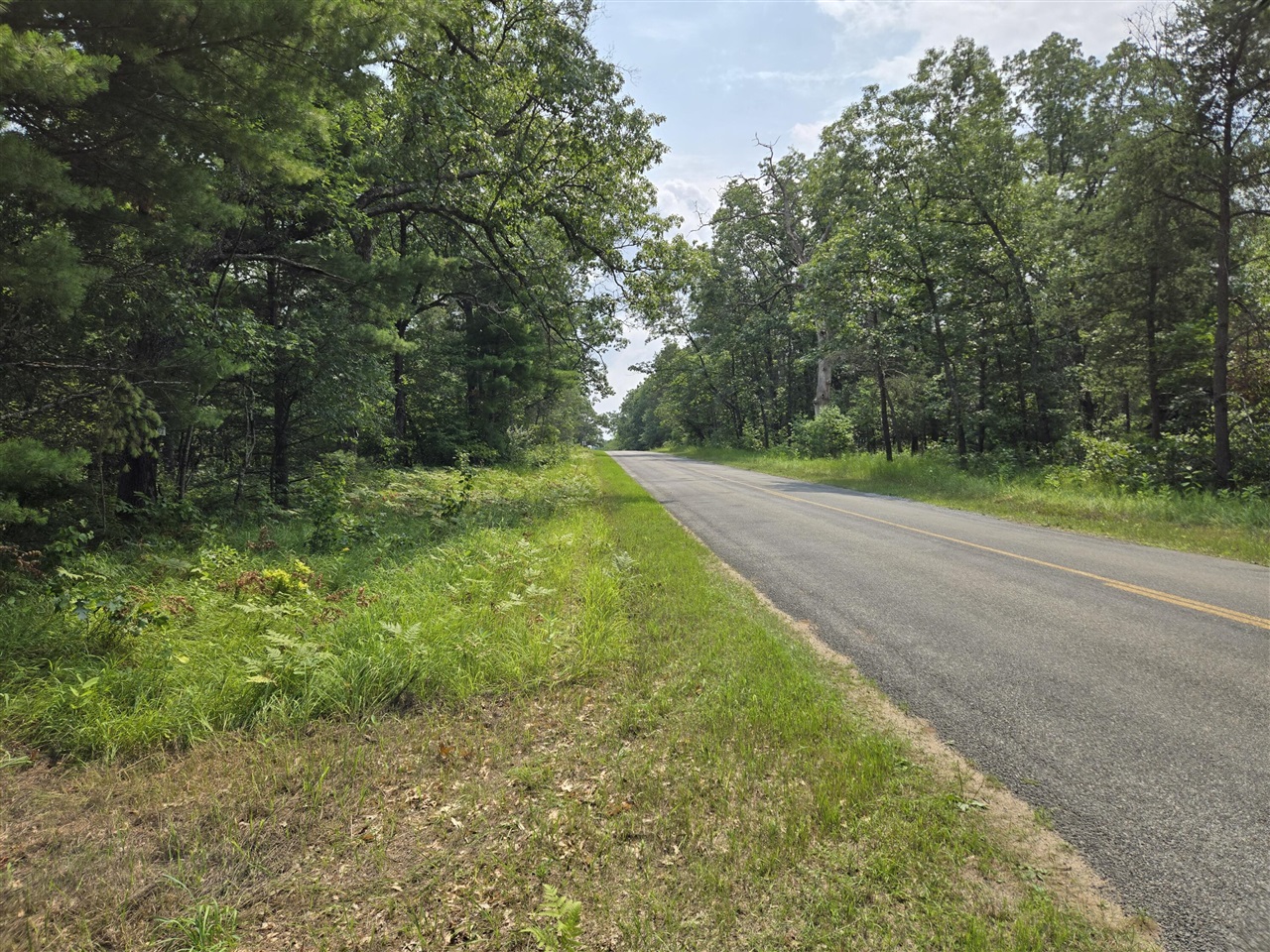11th image of 5140 S Kings Hwy, Chase, MI 49623 | MLS# 70552174