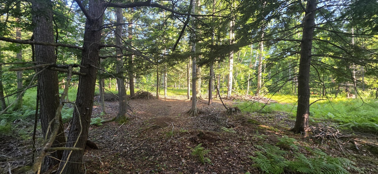 Photo 1 of Land for sale at 10 E Acres Free Soil Rd, Free Soil, MI 49411 | MLS# 70552341 | Listing updated on 2026-10-07