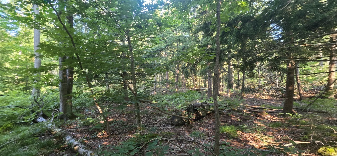 Photo 2 of Land for sale at 10 E Acres Free Soil Rd, Free Soil, MI 49411 | MLS# 70552341 | Listing updated on 2026-10-07