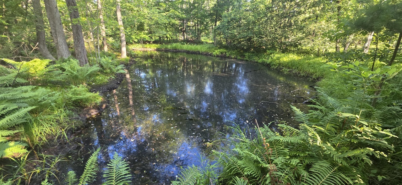 Photo 3 of Land for sale at 10 E Acres Free Soil Rd, Free Soil, MI 49411 | MLS# 70552341 | Listing updated on 2026-10-07