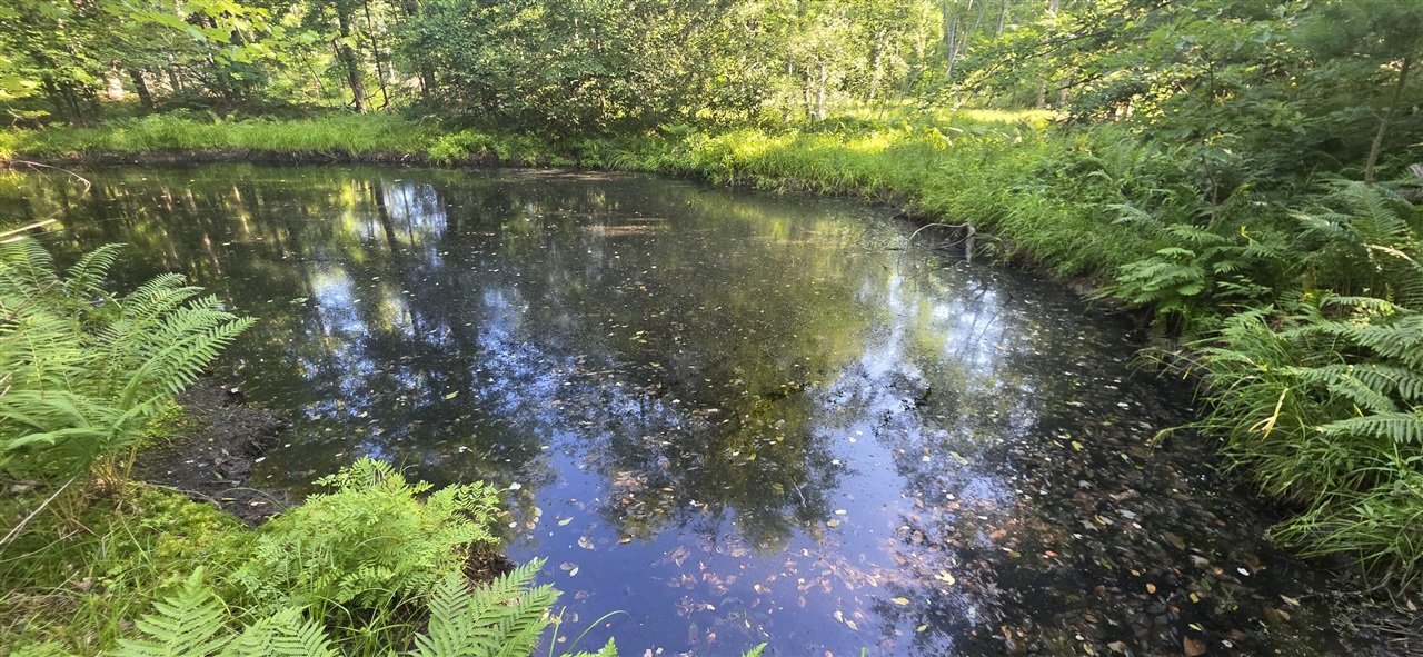 Photo 3 of Land for sale at 10 E Acres Free Soil Rd, Free Soil, MI 49411 | MLS# 70552341 | Listing updated on 2026-10-07