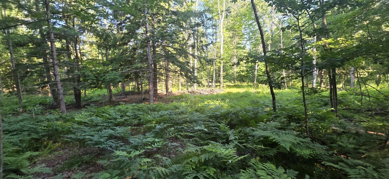 Photo 4 of Land for sale at 10 E Acres Free Soil Rd, Free Soil, MI 49411 | MLS# 70552341 | Listing updated on 2026-10-07