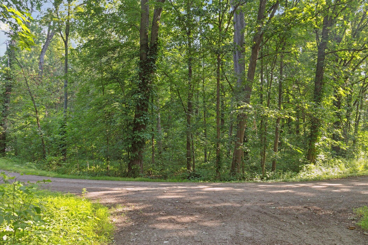 Photo 4 of Land for sale at 5904 W River Dr, Belmont, MI 49306 | MLS# 70552452 | Listing updated on 2026-09-16