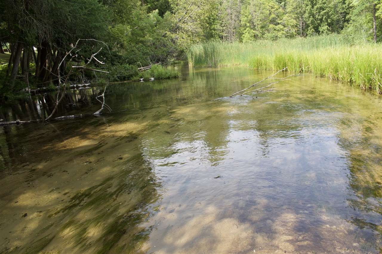 2nd image of 4573 N Able Rd, Irons, MI 49644 | MLS# 70552607