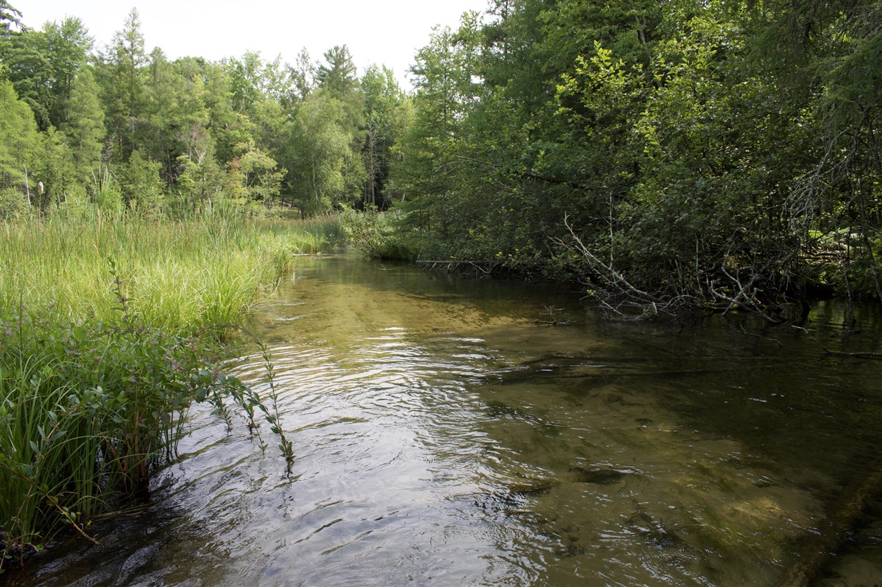 3rd image of 4573 N Able Rd, Irons, MI 49644 | MLS# 70552607