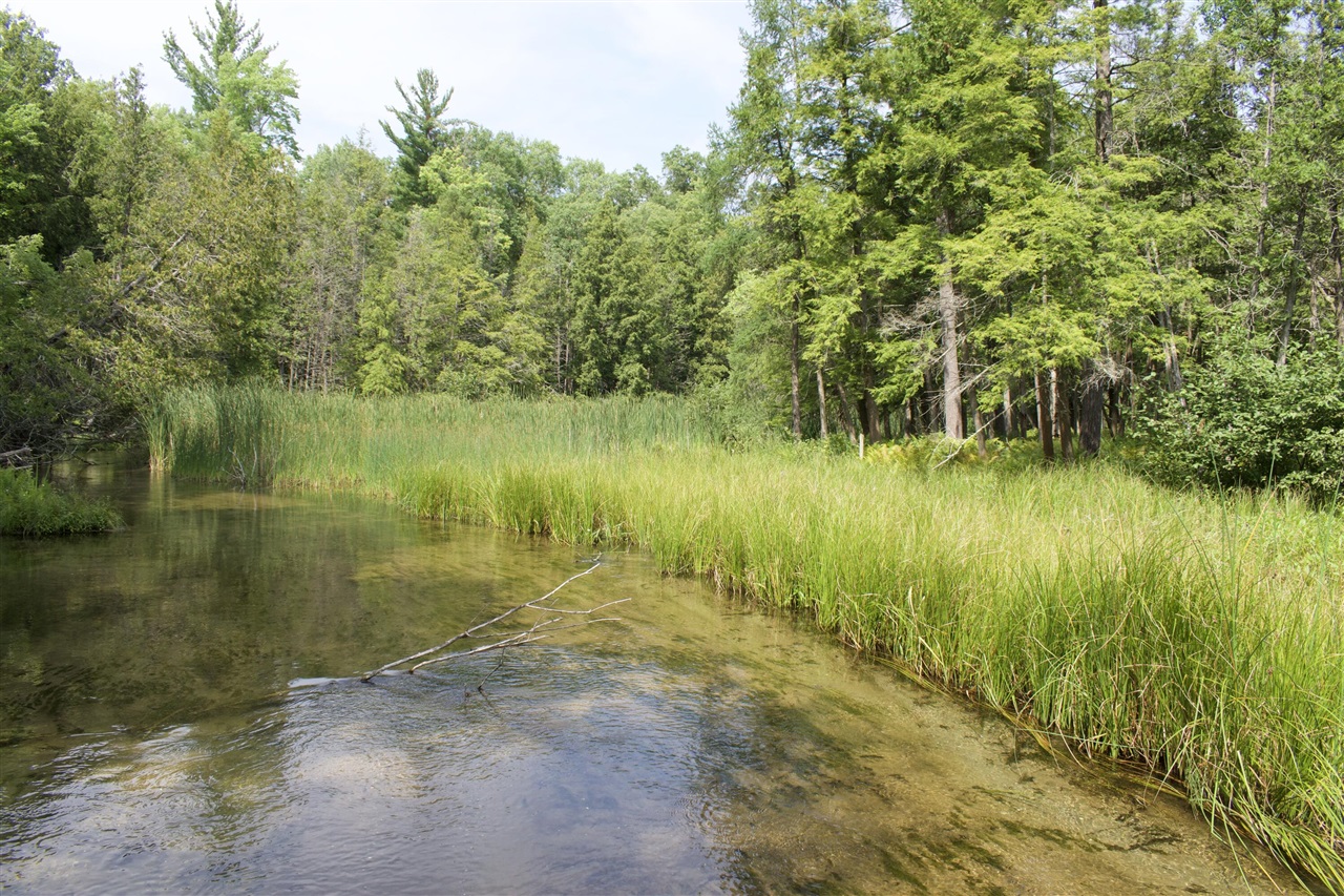 4th image of 4573 N Able Rd, Irons, MI 49644 | MLS# 70552607
