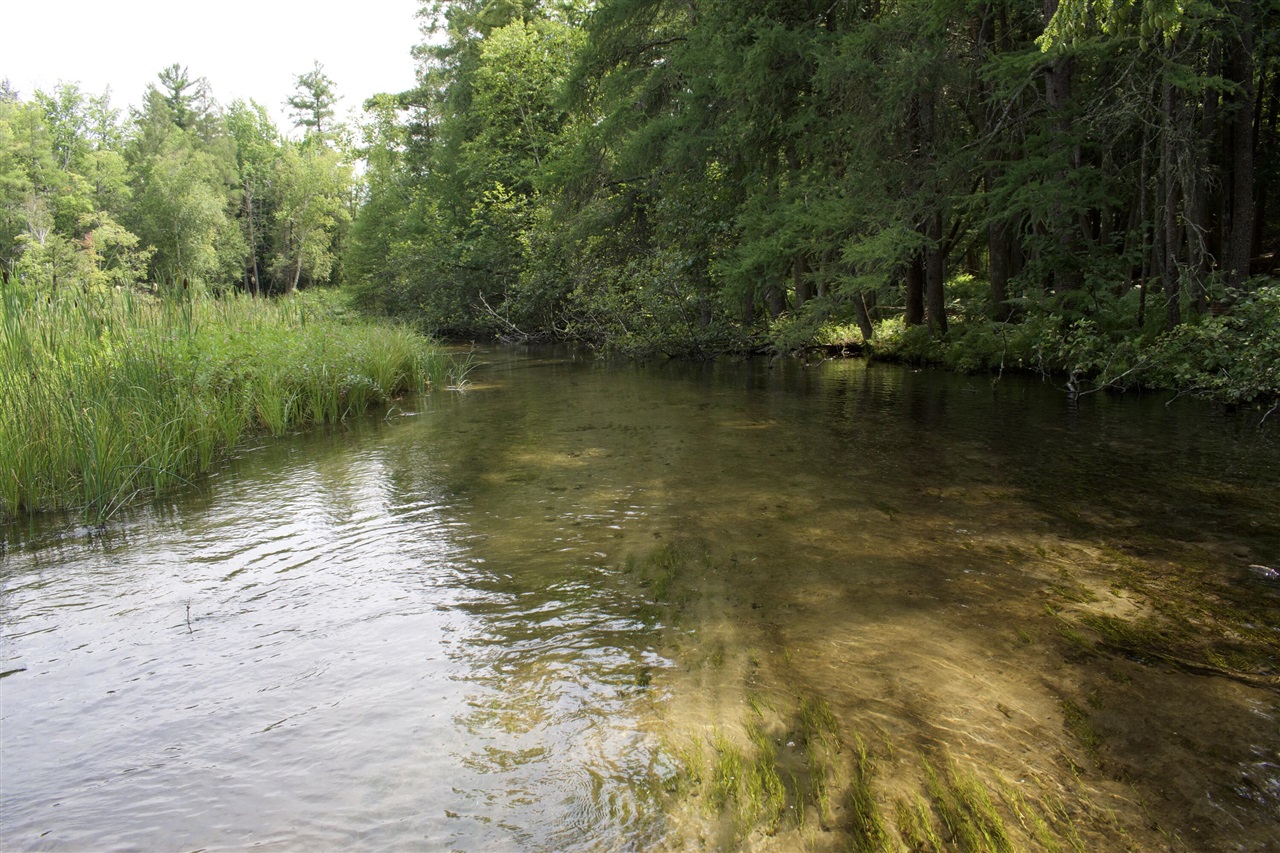 5th image of 4573 N Able Rd, Irons, MI 49644 | MLS# 70552607